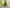 VELOWAVE VW Forest XM#color_dark-green