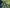 VELOWAVE VW Forest XM#color_dark-blue