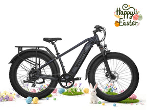 Ranger 2.0 Fat Tire All-Terrain Electric Bike