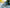 VELOWAVE Electric_Bicycles Dark Gray Ranger 3.0 Fat Tire All-Terrain Electric Bike