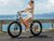 VELOWAVE Electric_Bicycles Rover Step-Thru Electric Bike