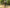 VELOWAVE Electric_Bicycles Ghost Electric Mountain Bike#color_dark-green