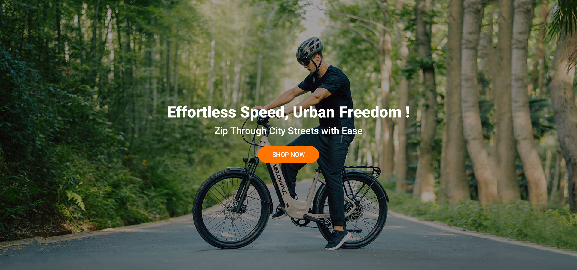 Convenient electric bicycles