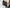VELOWAVE Electric_Bicycles Rover Step-Thru Electric Bike